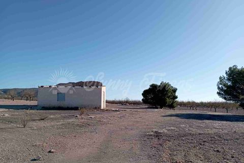 Finca i Caudete, Albacete, Caudete - € 29.995 | Ref: SF0480 - foto 4
